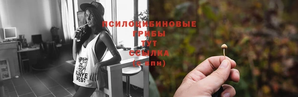 не бодяженный Баксан